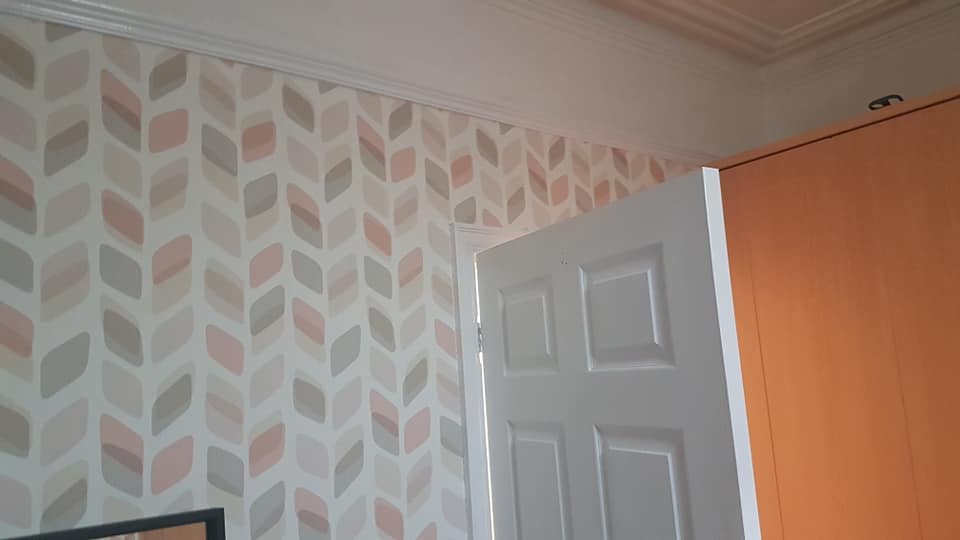 Coverall Painters and Decorators — Photos 13